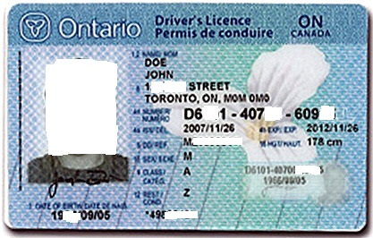 Driver licence-Водійські права.jpg