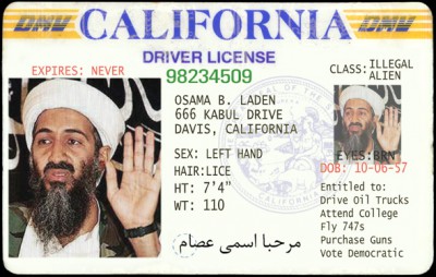 terrorist_drivers_license.jpg